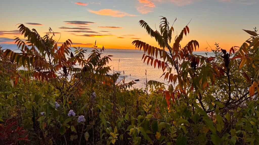 Image from a sunrise walk with your White Sails Inn Innkeeper in Kennebunk, ME