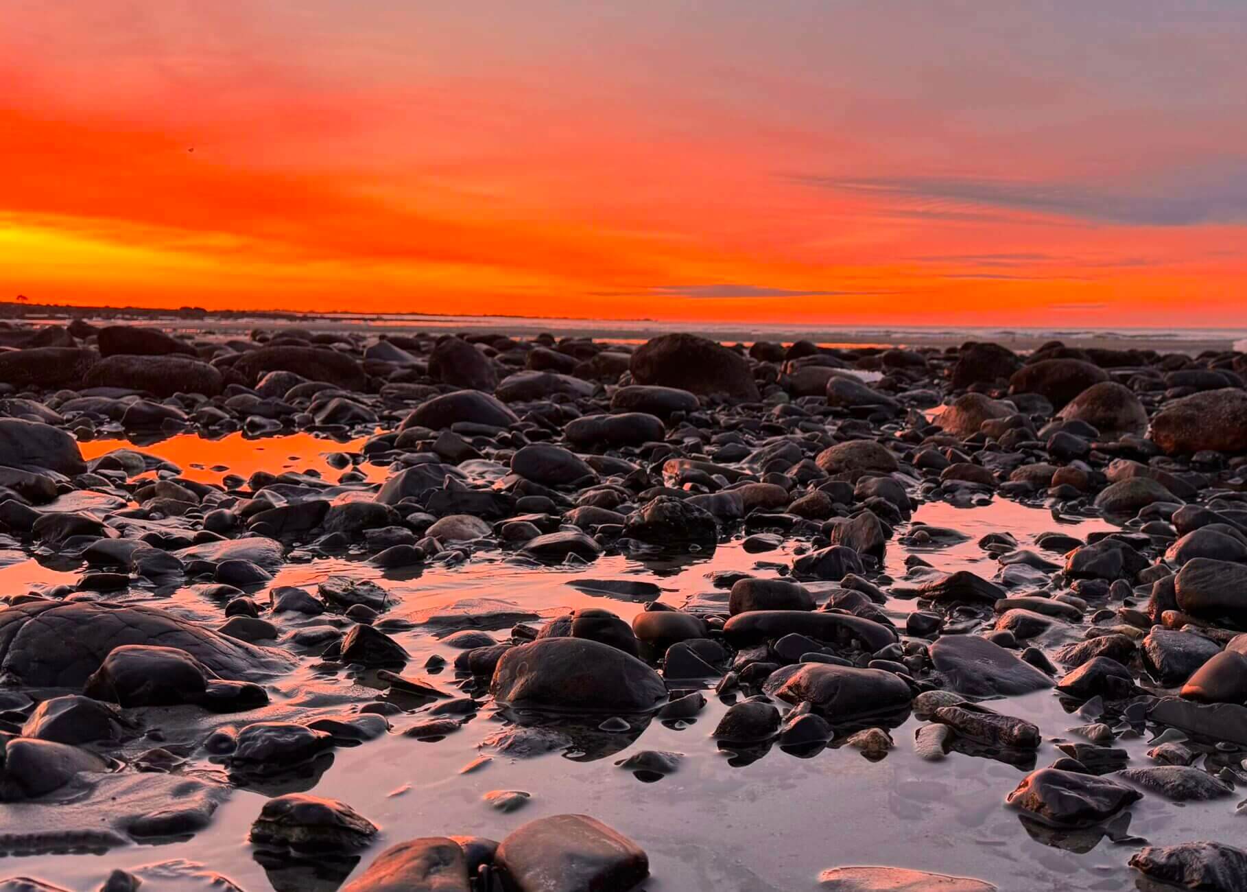 Sunrise Walk with your White Sails Inn Innkeeper