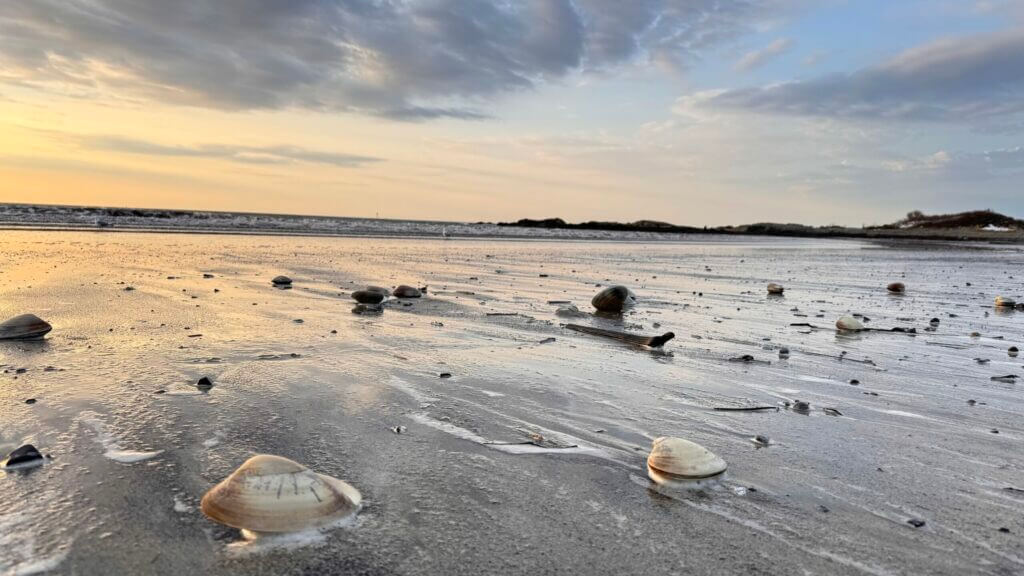 Image from a sunrise walk with your White Sails Inn Innkeeper in Kennebunk, ME